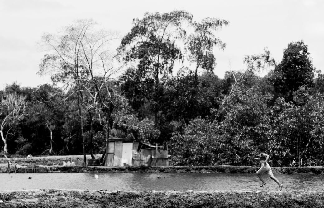 Entre as bordas dos viveiros corria o menino-do-mangue, Elias