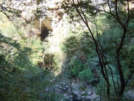 H&aacute;bitat caracter&iacute;stico de los espec&iacute;menes estudiados en la localidad de Acahuizotla (Guerrero, M&eacute;xico).