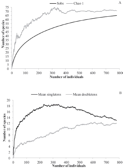 Species richness. A) Observed species richness (Sobs) and estimated richness for Chao 1 of the spiders of a semirural area of Bah&iacute;a Blanca; B) Accumulative curves of singletons and doubletons of spiders of a semirural area of Bah&iacute;a Blanca.