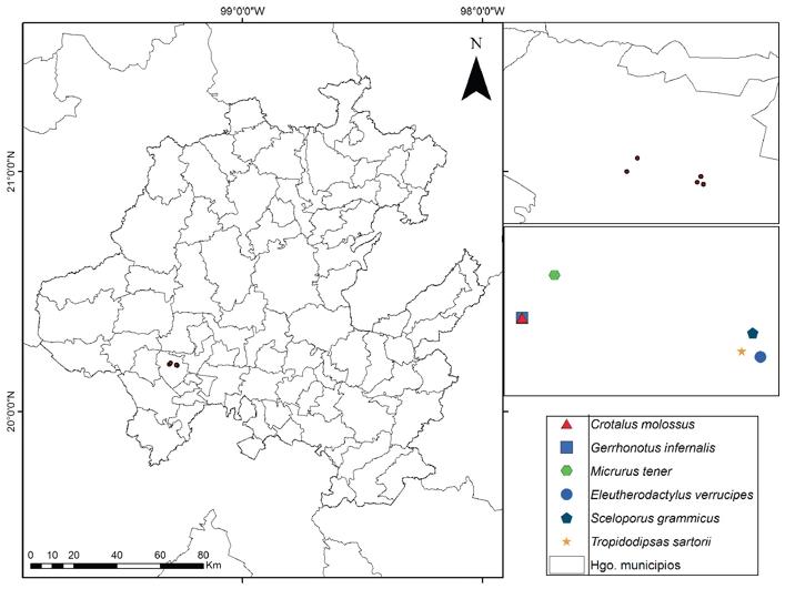 Ubicaci&oacute;n del municipio de Tezontepec de Aldama en el estado de Hidalgo, se muestran los nuevos registros de herpetofauna para la regi&oacute;n.