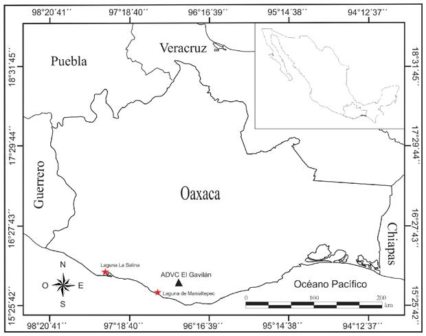 Localidad de registro (triangulo) de Aramides axillaris en el ADVC El Gavil&aacute;n, Municipio de Santa Mar&iacute;a Tonameca, Oaxaca. Los registros hist&oacute;ricos publicados se referencian con s&iacute;mbolos (asteriscos en rojo).