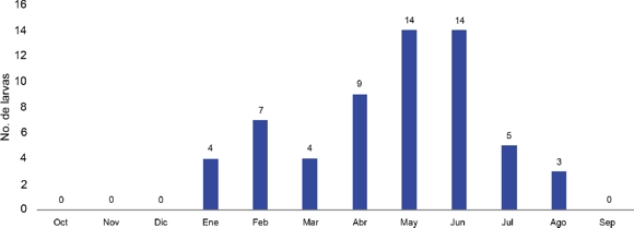 N&uacute;mero total mensual de larvas de Melolonthidae colectadas en el periodo 2008-2009 en la barranca de Huehuetitla, Tlaxcala.