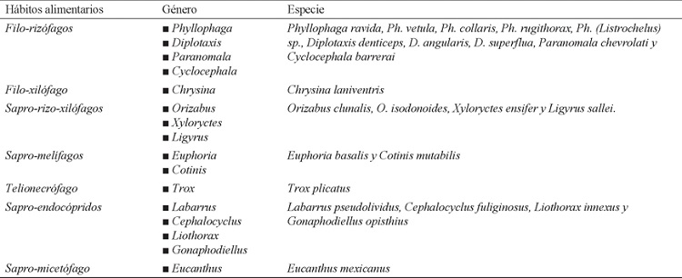 H&aacute;bitos alimentarios de las especies de la barranca de Huehuetitla, Tlaxcala. (Mor&oacute;n y Deloya 1991; Mor&oacute;n 2004).