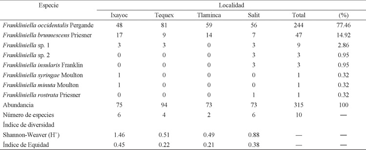 Riqueza y composici&oacute;n de especies de tisan&oacute;pteros asociados al cultivo de crisantemo, Dendranthema grandiflorum var. Harman, durante el periodo de marzo a junio de 2011, en cuatro localidades en el municipio de Texcoco, Estado de M&eacute;xico.
