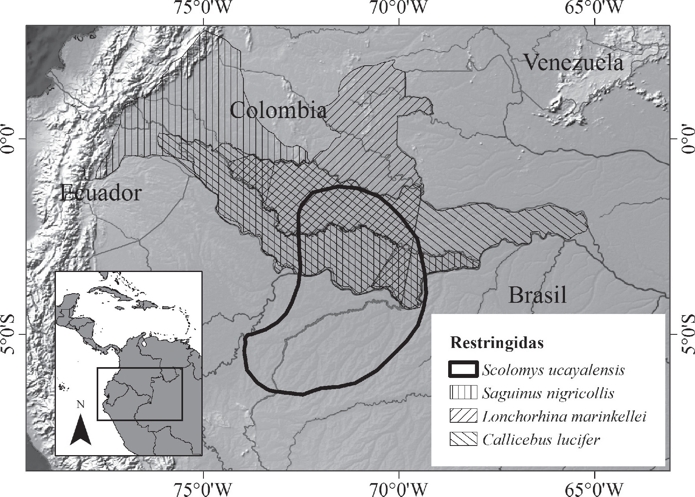 Mapas de distribuci&oacute;n de cuatro especies de mam&iacute;feros considerados como especies restringidas por tener un &aacute;rea menor a 50,000 km2. De acuerdo con este criterio, las cuatro especies pueden ser consideradas end&eacute;micas. El primate Callicebus lucifer Thomas, 1914 cumple con los criterios de endemismo de &aacute;rea restringida y restricci&oacute;n dentro de los l&iacute;mites administrativos de un pa&iacute;s (Colombia); por lo tanto, es end&eacute;mico de la Amazon&iacute;a colombiana y end&eacute;mico de Colombia.