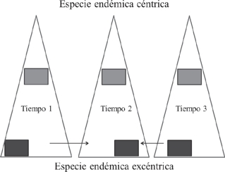 Representaci&oacute;n esquem&aacute;tica del endemismo c&eacute;ntrico y exc&eacute;ntrico. El tri&aacute;ngulo representa un &aacute;rea geogr&aacute;fica, mientras que los rect&aacute;ngulos indican las &aacute;reas de distribuci&oacute;n de dos especies. En la especie end&eacute;mica exc&eacute;ntrica las flechas indican la movilidad de la distribuci&oacute;n desde el tiempo de divergencia (Tiempo 1) hasta el Tiempo 3, cuando la especie se acerca parcialmente a su sitio de divergencia.
