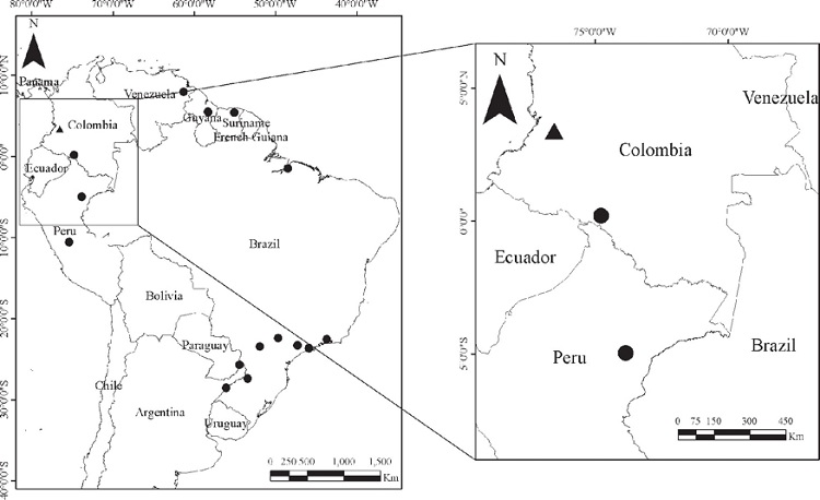 Map showing the known localities of Molossops neglectus in South America (left), indicating in detail the new record (right). Historical records are represented by circles (Gregorin et al. 2004) while the triangle indicates the new record.