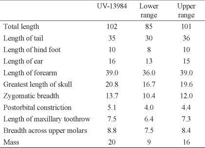 External and cranial measurements (in mm) and mass (in grams) of a male of Molossops neglectus (UV - 13984) and range reported for the species (Lim & Engstrom 2001).