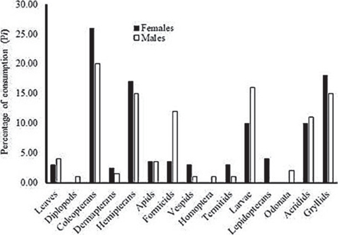 Diet of males and females in the Mexican endemic lizard, Sceloporus horridus horridus.