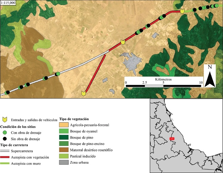 &Aacute;rea de estudio y ubicaci&oacute;n del sitio de muestreo a lo largo de la carretera Xalapa-Puebla (tramo: Amozoc-Banderilla) en zona central del Estado de Veracruz, M&eacute;xico.