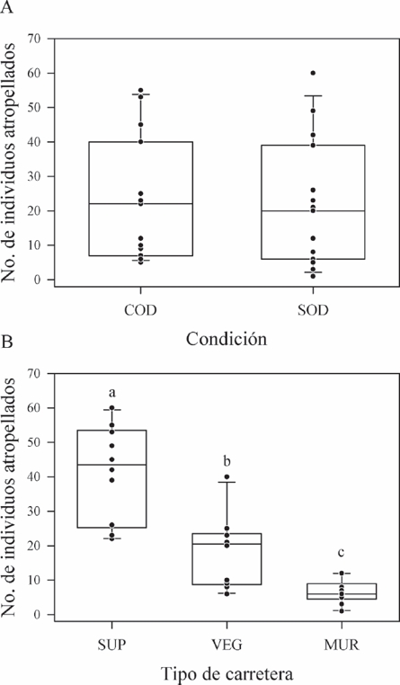 N&uacute;mero de individuos atropellados sobre la carretera de acuerdo (A) presencia (COD) - ausencia (SOD) de obra de drenaje y (B) al tipo de carretera (SUP = Supercarretera, VEG = Carretera con barrera central vegetativa, MUR = Carretera con barrera central con muro de concreto). La l&iacute;nea dentro de cada caja corresponde a la mediana, la altura de las cajas representan el primer y tercer cuartil, los bigotes son el valor m&aacute;ximo y m&iacute;nimo. Los c&iacute;rculos negros representan los valores observados en cada sitio. Letras diferentes indican diferencias significativas.