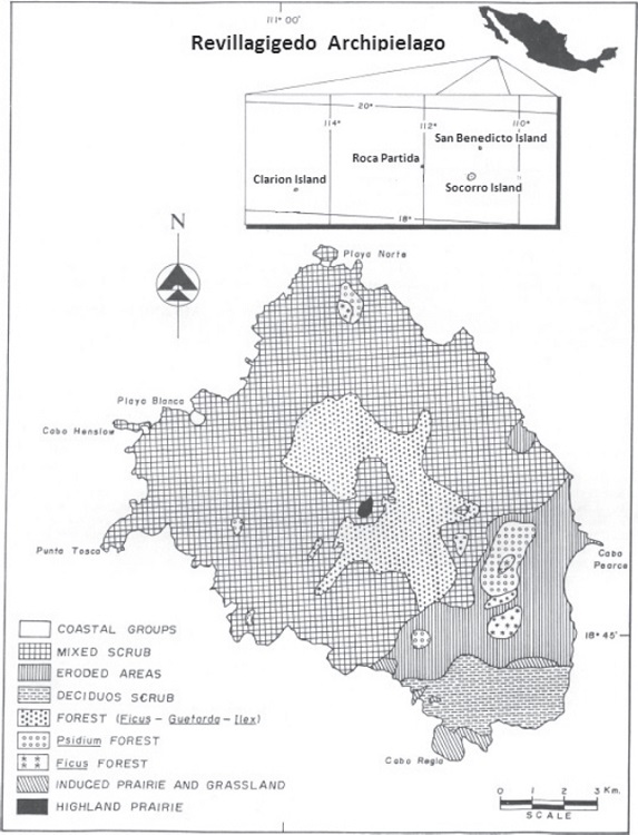 Localization of vegetation types in Socorro Island (Arnaud et al., 1993).