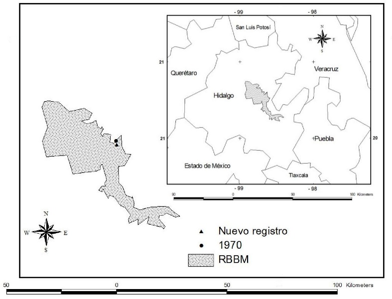 Ubicaci&oacute;n del nuevo registro para la martucha (Potos flavus) en la Reserva de la Biosfera Barranca de Metztitl&aacute;n y el estado de Hidalgo (se indica con un tri&aacute;ngulo). Adem&aacute;s, se muestra el &uacute;nico registro confirmado previamente que data de 1970 (con un c&iacute;rculo).