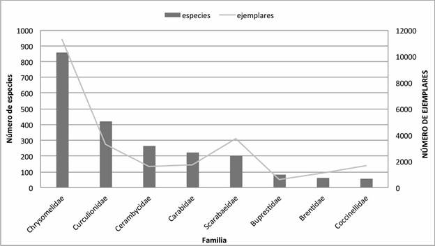 Familias mejor representadas en la Colecci&oacute;n Coleopterol&oacute;gica de la
							Facultad de Estudios Superiores.