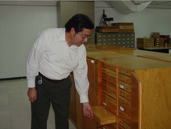 Dr. Miguel &Aacute;ngel Mor&oacute;n en la colecci&oacute;n entomol&oacute;gica del INECOL. Fotograf&iacute;a de autor desconocido.