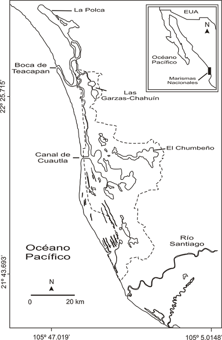 &Aacute;rea de estudio, se indican las tres zonas donde se realizaron los conteos, Marismas Nacionales, M&eacute;xico.
