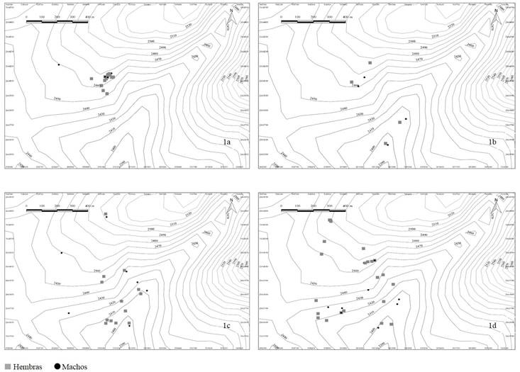 Segregaci&oacute;n por edad y sexo de venado cola blanca en la UMA Salvador Allende a partir de grupos fecales en primavera (1a), verano (1b), oto&ntilde;o (1c) e invierno (1d).