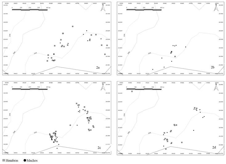 Segregaci&oacute;n por edad y sexo de venado cola blanca en la UMA Molinillos a partir de grupos fecales en primavera (2a), verano (2b), oto&ntilde;o (2c) e invierno (2d).
