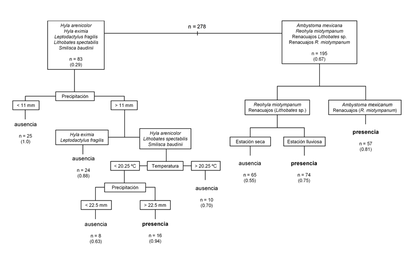 Modelo de predicci&oacute;n de presencia de Batrachochytrium
									dendrobatidis en 13 especies de anfibios adultos y dos
								de renacuajos y seis variables ambientales mediante un &aacute;rbol de
								clasificaci&oacute;n y regresi&oacute;n.
