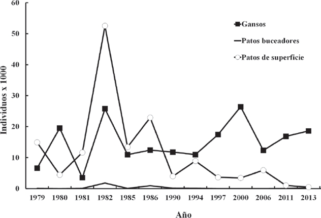Serie temporal del tama&ntilde;o poblacional para los grupos de aves acu&aacute;ticas consideradas en el estudio. Gansos (G&eacute;neros Anser y Chen), patos de superficie (G&eacute;nero Anas) y patos buceadores (G&eacute;nero Aythya y similares).