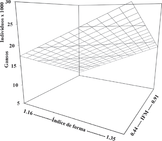 Modelo gr&aacute;fico de regresi&oacute;n m&uacute;ltiple de la poblaci&oacute;n invernal de gansos en respuesta a los &iacute;ndices de forma y del fragmento mayor (IFM) (x = - 44479 - 24160 IFM + 62560 Forma).