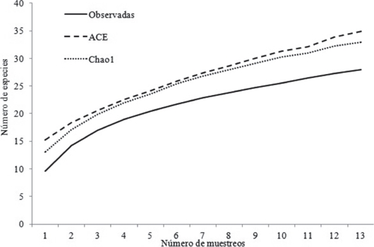 Curva de acumulaci&oacute;n de especies de escarabaeoideos registrados en la zona de estudio, de acuerdo a los estimadores Chao 1 y ACE.
