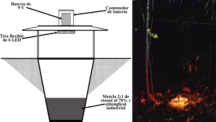 Dise&ntilde;o de la trampa &ldquo;pitlight&rdquo; con LED utilizada en el presente estudio.