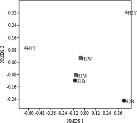 Escalamiento multidimensional no m&eacute;trico (NMDS) basado en la composici&oacute;n y abundancia de especies de las recolectas de cole&oacute;pteros obtenidas con trampas pitlight con LED de tres distintos colores (B: azul, W: blanco, Y: amarillo) durante dos per&iacute;odos nocturnos de activaci&oacute;n (H1 y H2). Valor de stress=0.