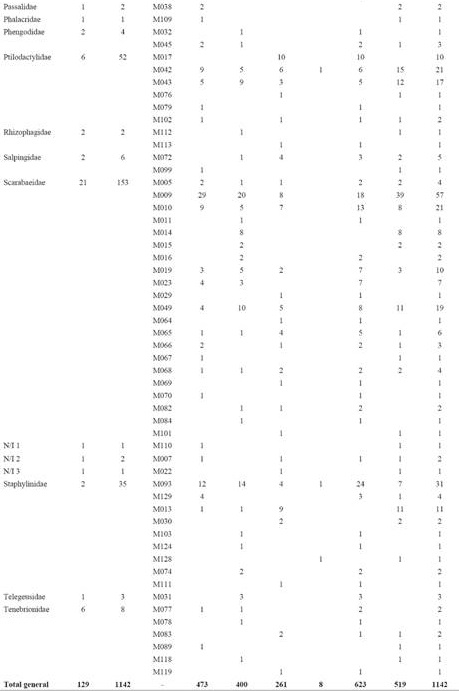 Familias y morfoespecies de Coleoptera capturadas con trampas pitlight y pitfall en la Estaci&oacute;n de Biolog&iacute;a Los Tuxtlas, Veracruz, M&eacute;xico. Se muestra el total de ejemplares por familia y por color de LED empleado (S: riqueza de especies; N: total de individuos; Msp: n&uacute;mero de morfoespecie; az: azul, bl: blanco, am: amarillo; Ptf: pitfall convencionales. Horarios: 1, de 19:30 a 00:30 horas; 2, 1:00 a 6:00 hrs).