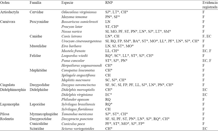 Especies de mamíferos documentadas en 16 Reservas Naturales Privadas de Guatemala