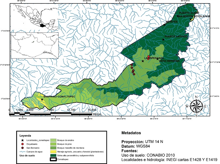 &Aacute;rea de Estudio en La Esperanza, Santiago Comaltepec, Sierra Norte de Oaxaca, M&eacute;xico.