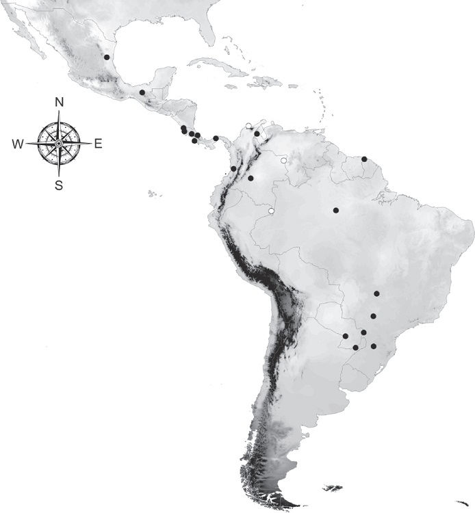 L. stephanoides distribution (black dots) in America, white dots indicate the records for Leptofoenus spp. in Colombia