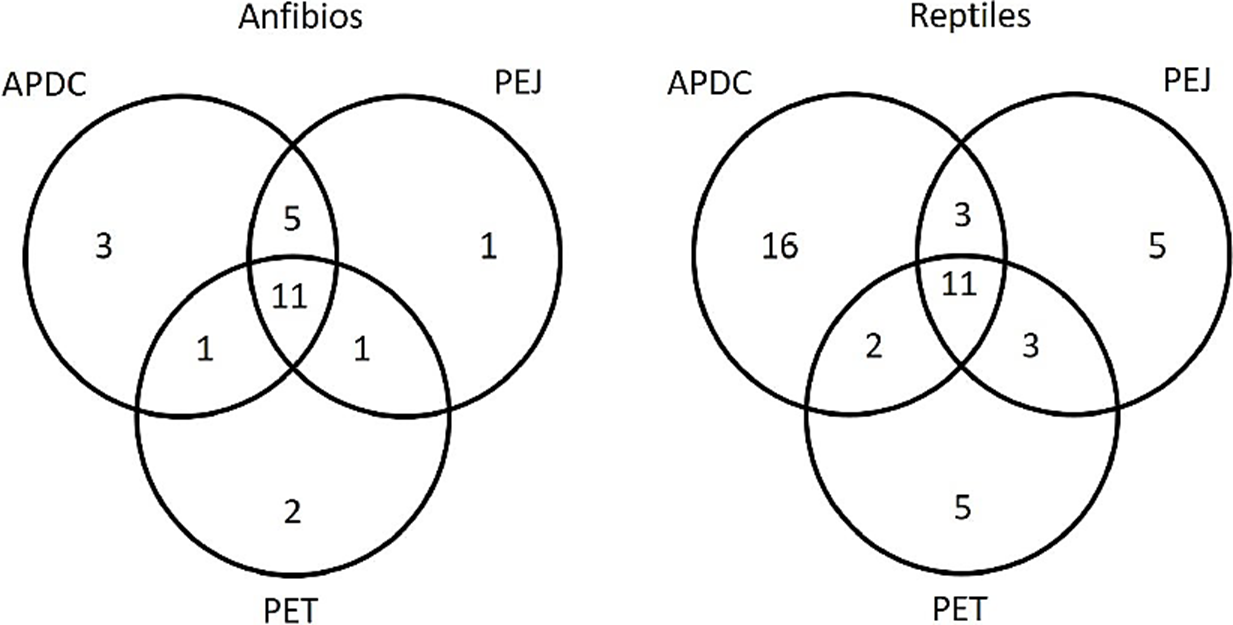 Diagramas de Venn que indican el n&uacute;mero de especies exclusivas y compartidas de anfibios y reptiles entre las tres &aacute;reas privadas protegidas. &Aacute;rea de Protecci&oacute;n y Desarrollo de Ceratozamia (APDC), Parque Ecol&oacute;gico Jaguaroundi (PEJ) y Parque Ecol&oacute;gico Tuzandepetl (PET).
