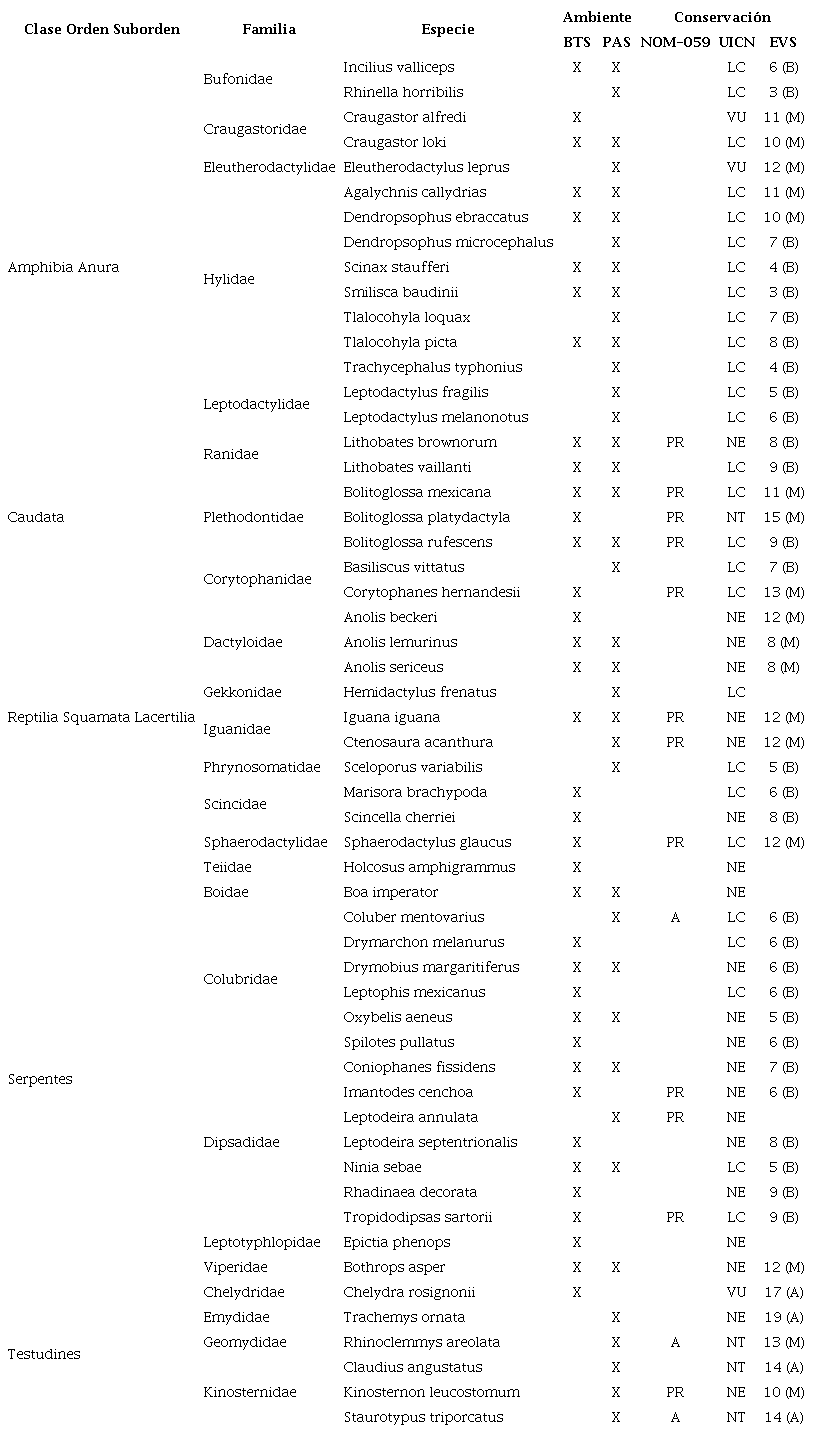 Especies de anfibios y de reptiles registradas en el &Aacute;rea de Protecci&oacute;n y Desarrollo de Ceratozamia (APDC); (BTS = Bosque Tropical Subcaducifolio, PAS = Pastizal para ganado) y su estado de conservaci&oacute;n seg&uacute;n la NOM-059-SEMARNAT-2010 (NOM-059; PR = Sujeta a protecci&oacute;n especial, A = Amenazada), la Lista Roja de la Uni&oacute;n Internacional para la Conservaci&oacute;n de la Naturaleza (UICN; LC = Least Concern o Preocupaci&oacute;n Menor, VU = Vulnerable o Vulnerable, NT = Near Threatened o Casi Amenazada, NE = No Evaluada) y el Puntaje de Vulnerabilidad Ambiental (EVS) y categor&iacute;a de vulnerabilidad (B = baja, M = media y A = alta).