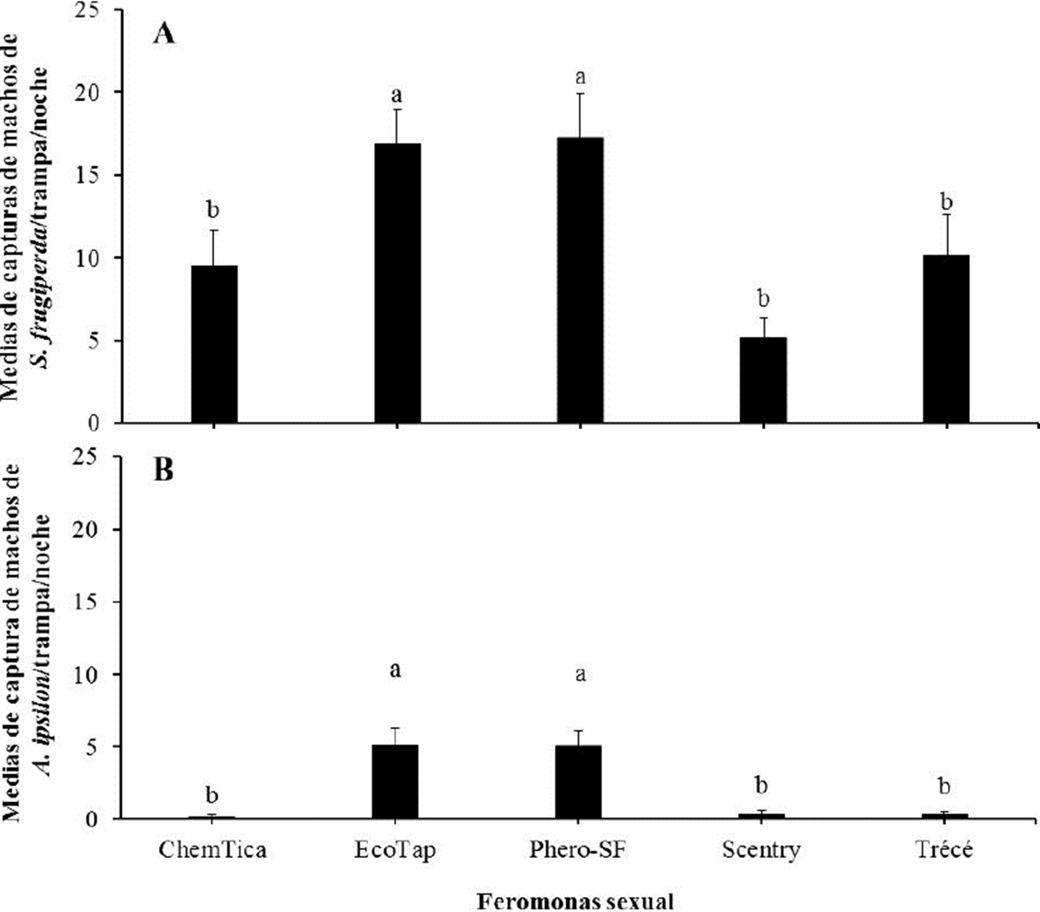A) Medias ± EE de la captura de machos de Spodoptera frugiperda por cada feromona sexual evaluada. B) Medias ± EE de la captura de machos de Agrotis ipsilon por cada feromona sexual evaluada. Las barras con la misma letra no son significativamente diferentes (prueba de Tukey, α = 0.5).