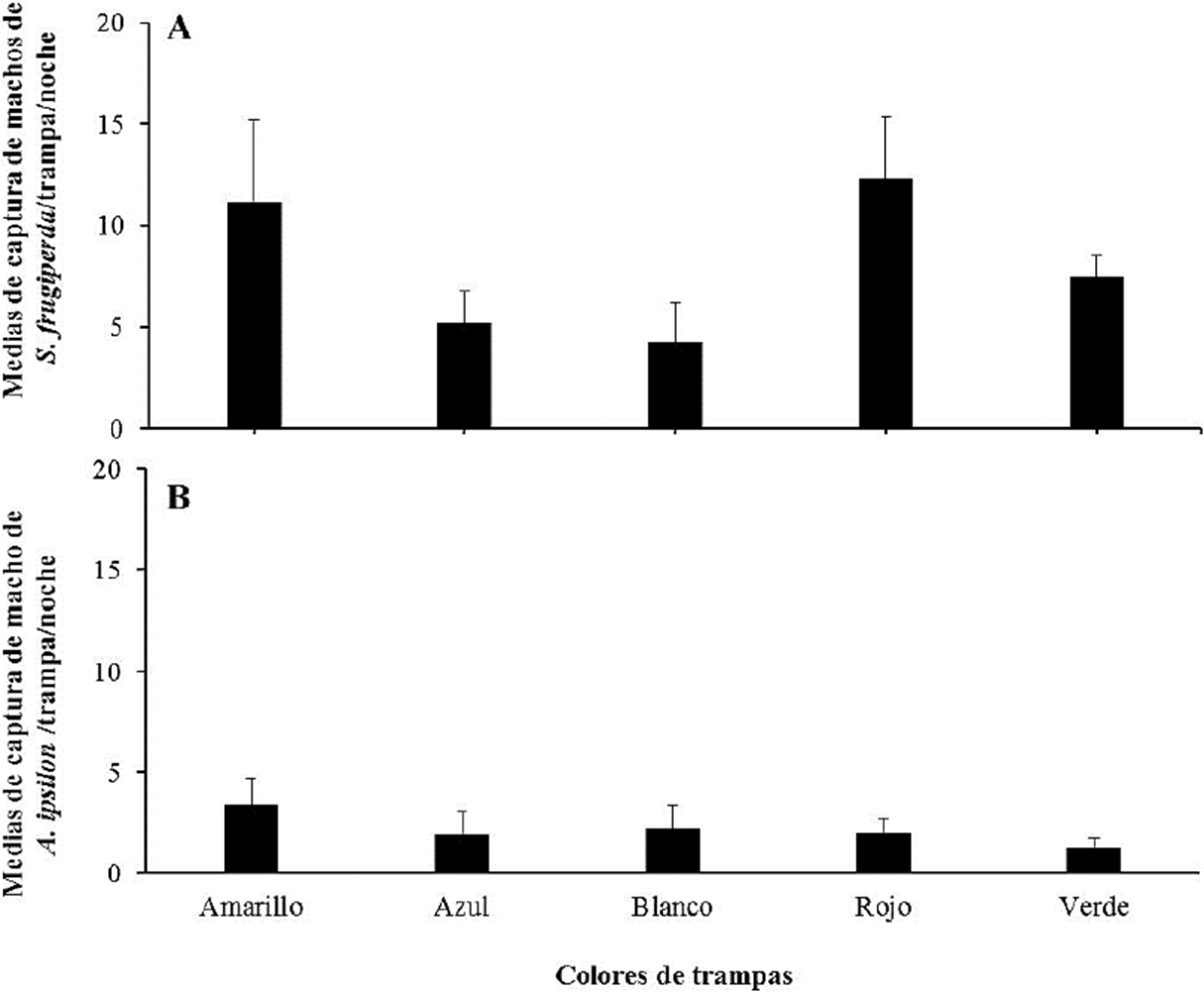 A) Medias ± EE de la captura de machos de Spodoptera
								frugiperda por cada color de trampas evaluadas.
								B) Medias ± EE de la captura de machos de
								Agrotis ipsilon por cada color de trampas
							evaluadas. Las barras con la misma letra no son significativamente
							diferentes (prueba de Tukey, α = 0.5).