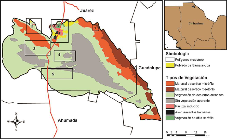 Sitios de recolecta de ara&ntilde;as en la ANP M&eacute;danos de Samalayuca, Chihuahua, M&eacute;xico. Mapa modificado de (CONANP 2013.