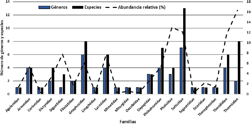 Riqueza y abundancia relativa de g&eacute;neros de especie por familia de las ara&ntilde;as recolectadas en los M&eacute;danos de Samalayuca, Chihuahua.