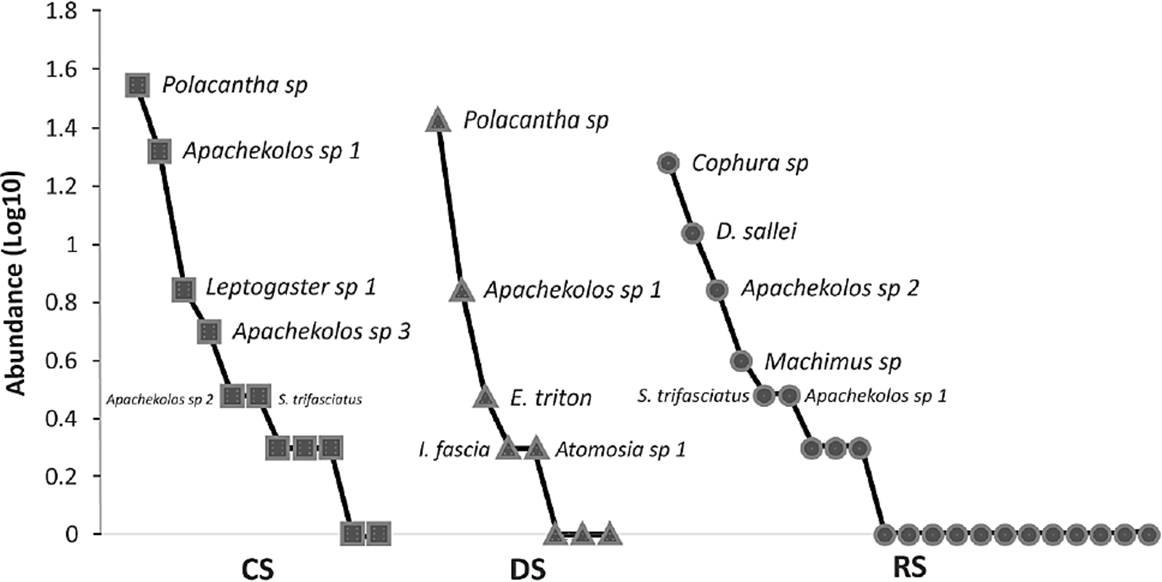 Rank-abundance curves of the cold season (CS), dry season (DS), and rainy season (RS).