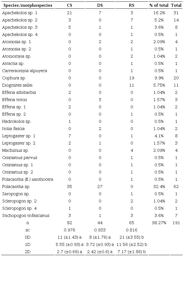 Species/morphospecies richness, diversity, and abundance of robber flies in Jolalpan, Puebla, Mexico, during three different seasons of 2015, 2016, and 2017.