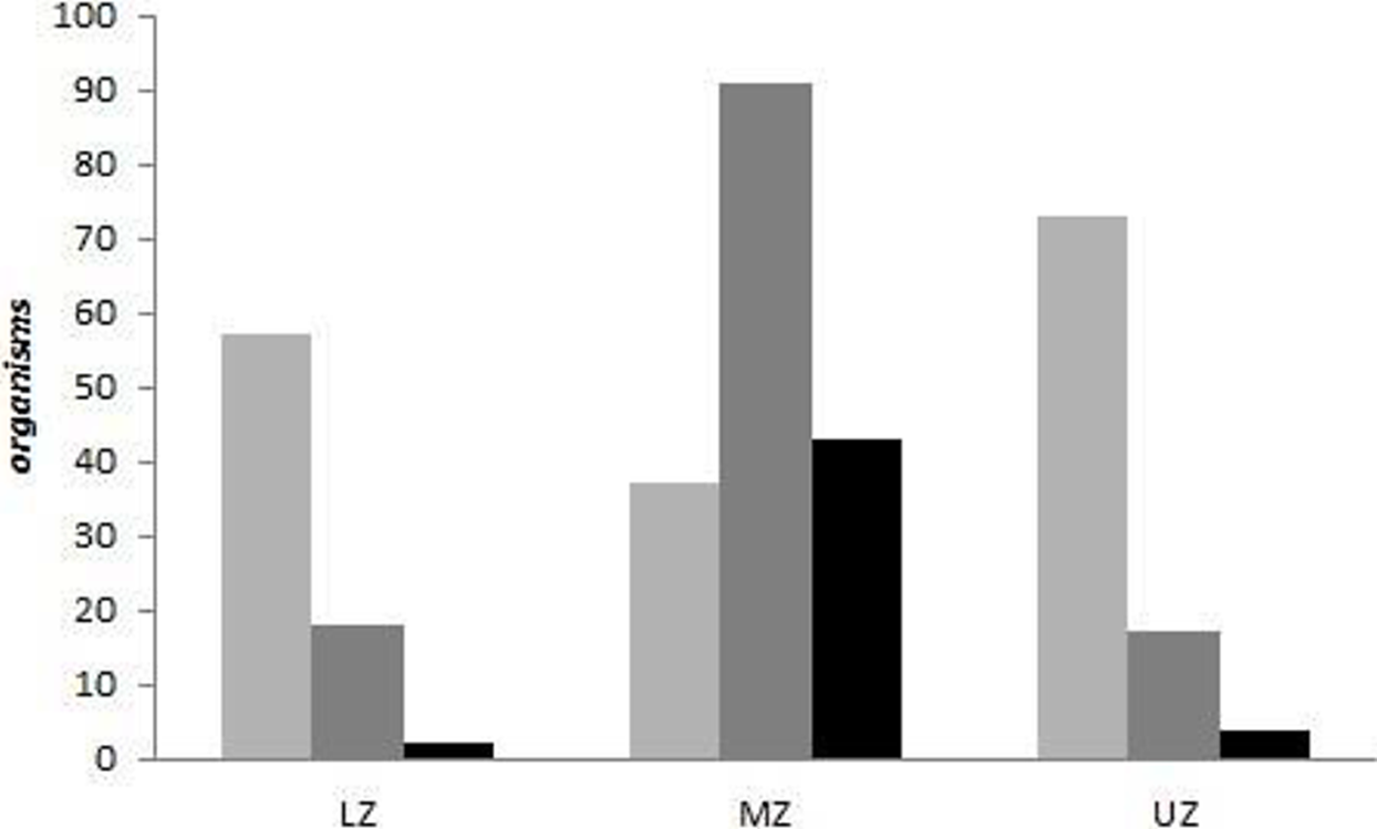 Abundance of terrestrial gastropods by site and zone of the Coat&aacute;n River watershed. Lower Zone: LZ; Middle Zone: MZ; Upper Zone: UZ; Site 1: Light Grey Bar; Site 2: Grey Bar; Site 3: Black Bar.