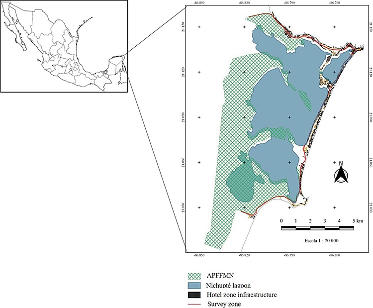 &ldquo;&Aacute;rea de Protecci&oacute;n de Flora y Fauna Manglares de Nichupt&eacute;&rdquo;, located along the Canc&uacute;n hotel zone boulevard.