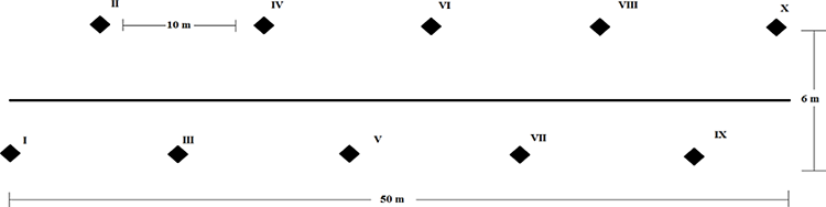 Distribuci&oacute;n espacial de diez trampas de ca&iacute;da en cada uno de los sitos de muestreo.
