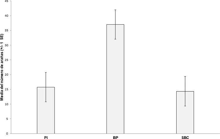 Abundancias promedio del total de ara&ntilde;as recolectadas por sitio durante un a&ntilde;o. Las barras de error corresponden al error est&aacute;ndar (SE) de las abundancias promedio. PI: Pastizal Inducido, BP: Bosque de Pino y SBC: Selva Baja Caducifolia.