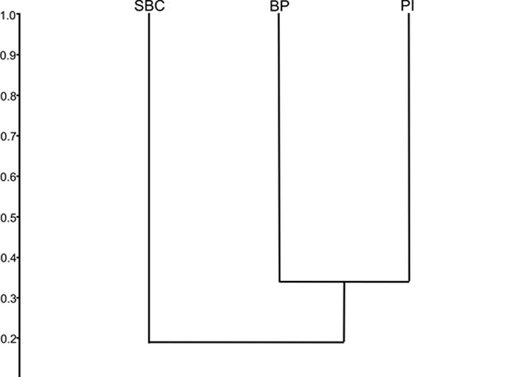 An&aacute;lisis de agrupamiento con base en el &iacute;ndice de Bray-Curtis (abundancias de las especies) de los sitios muestreados. PI: Pastizal Inducido, BP: Bosque de Pino y SBC: Selva Baja Caducifolia.