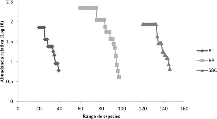 Curvas de rango-abundancia para cada sitio de recolecta. Los valores del eje Y corresponden al logaritmo base 10 de la abundancia relativa. PI: Pastizal Inducido, BP: Bosque de Pino y SBC: Selva Baja Caducifolia.