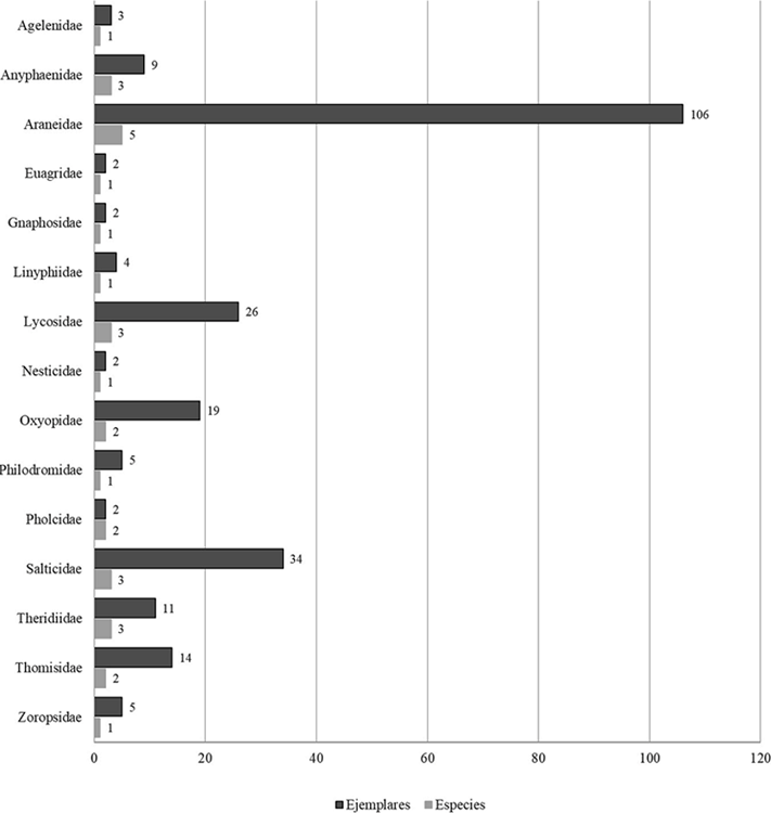 N&uacute;mero de ejemplares y especies por familia depositadas en la CAEM.