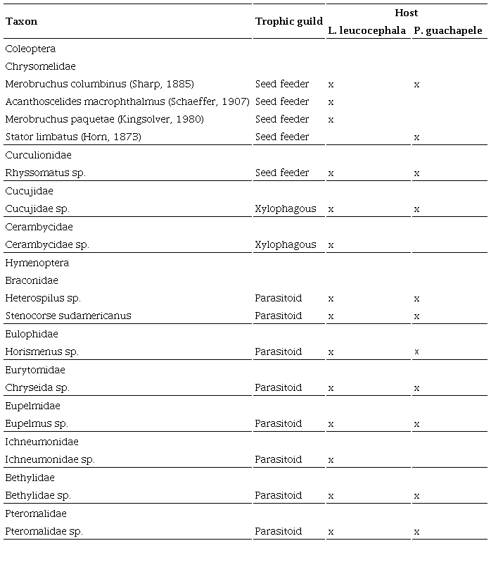 Arthropods associated with the seeds of two legume species: the native species Pseudosamanea guachapele, and the invasive species Leucaena leucocephala in an area of tropical dry forest in Colombia. The "x" represents the presence of the taxon in the seeds of the host plant.