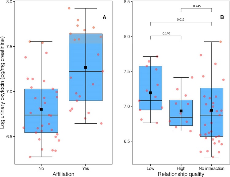 Social correlates of variation in urinary oxytocin concentrations of