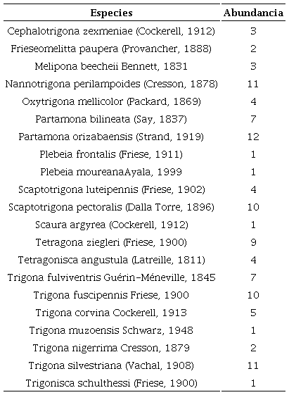 Especies de abejas sin aguij&oacute;n en el corredor biol&oacute;gico paso del Istmo de Rivas, Nicaragua.